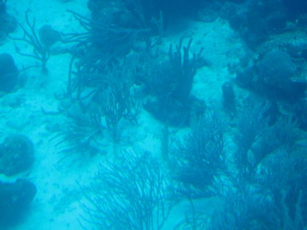 45 feet under water
