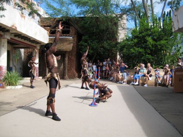 Animal Kingdom - Performers in Africa
