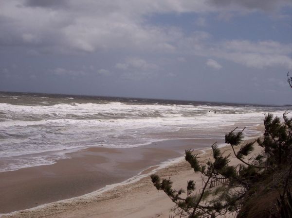 blowin beach
