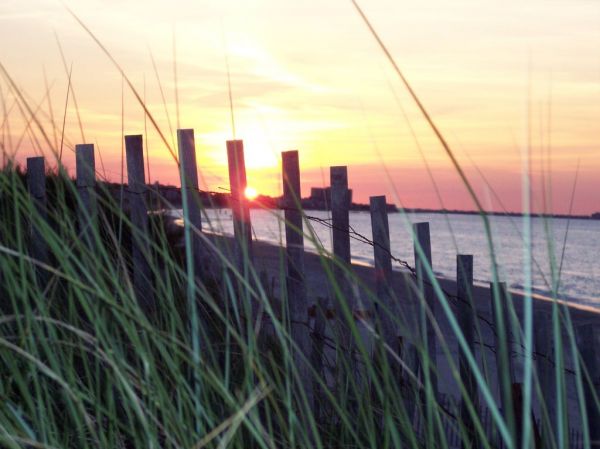 Sunset through the fence
